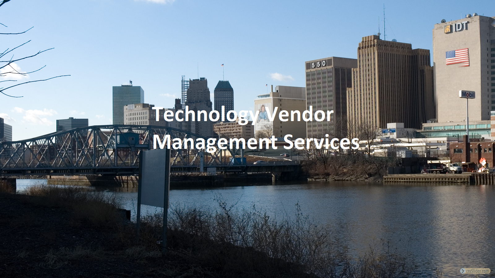 Technology Vendor Management